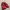 Sneakers gucci red lebah leather 40 good quality  photo 2