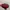 Sneakers gucci red lebah leather 40 good quality  photo 4