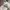 Adidas Vintage Y2K Hoody Pria white photo 6