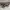 Hush Puppies Streetwear Sportswear Sneakers Pria white photo 3