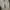 Kenzo Paris Shoes Tiger Embroidered Slip On Sneakers (Nego) photo 4