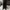 MCM Travia Quilted Chain Wallet (VGC) (Nego) photo 6