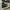 Converse CT Allstar Hi Black White photo 3