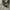 Converse CT Allstar Hi Black White photo 1