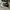 Converse CT Allstar Hi Black White photo 2