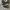 Converse CT Allstar Hi Black White photo 1