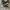 Converse CT Allstar Hi Black White photo 1