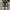 Converse CT Allstar Hi Black White photo 4