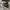 Converse CT Allstar Hi Black White photo 2