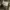 USARMY M-65 TROUSERS  photo 3