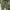 USARMY M-65 TROUSERS  photo 1