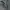 Outer navy photo 3