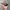 Vtg Adidas Sport Y2k Sunglasses photo 3