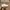 Nike Air Force 1 Low Triple White GS  photo 10