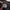 Dockers big size photo 5