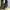 Dr. Martens 1461 Bex Zip photo 1