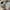 Iphone xs 256 gb inter fullset no minus photo 2