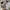Iphone Xs 256 Gb Inter Fullset No Minus