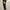Celana Trackpant Kappa Polartech Black Orange Second  photo 2