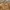 Spao Vintage Streetwear Parka Pria brown photo 2
