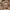 Spao Vintage Streetwear Parka Pria brown photo 5
