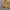 Spao Vintage Streetwear Parka Pria brown photo 3