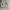 Coach Minimalist Casual Handbag Wanita Pink