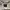Vintage Streetwear Suit Pria white photo 5