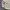 Vintage Streetwear Suit Pria white photo 3