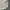Vintage Streetwear Suit Pria white photo 4