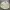 Vintage Streetwear Suit Pria White