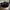 Skechers Flection Jasker Black New photo 2