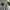 Descente Sportswear Casual Jersey Pria multicolor photo 4