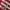 New Balance Sportswear Jersey Pria White Red