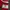 New Balance Sportswear Jersey Pria white red photo 4