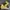 Nike Yellow Black Casual photo 1