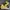 Nike Yellow Black Casual