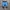 Sportswear Short Pria black gray blue photo 6