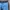 Sportswear Short Pria black gray blue photo 4