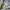 2000s Thisisneverthat Zip Hoodie Boxy Faded - Washed photo 8