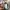 Fear of God ESSENTIALS Streetwear Casual Short Pria cream photo 4