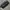 Vtg Oakley Messenger Briefcase Bag photo 5