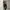Celana Panjang Pinggang Karet Slimfit