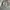 CARGO LIGHT GREY WASHED JEANS photo 7