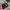 Streetwear Skater Casual pants Pria black photo 4