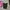 Streetwear Skater Casual pants Pria black photo 3