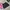 Streetwear Skater Casual Pants Pria Black