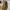 Tory Burch Ella Tote Large (Need SPA) Nego photo 7