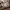 Tory Burch Ella Tote Large (Need SPA) Nego photo 5