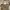 Tory Burch Ella Tote Large (Need SPA) Nego photo 1